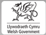 Welsh Assembly Government Logo